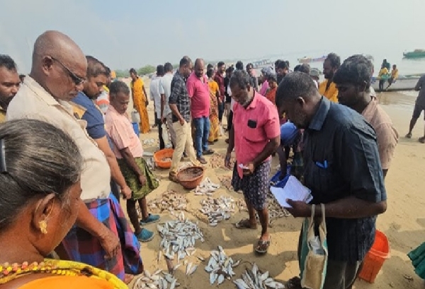 Non-vegetarian enthusiasts flocked