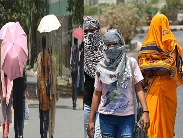 Summer Precautionary Measures: