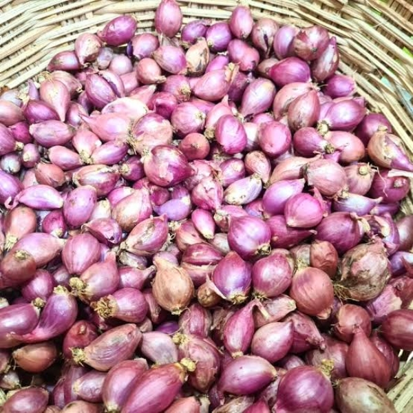 வெங்காயம்