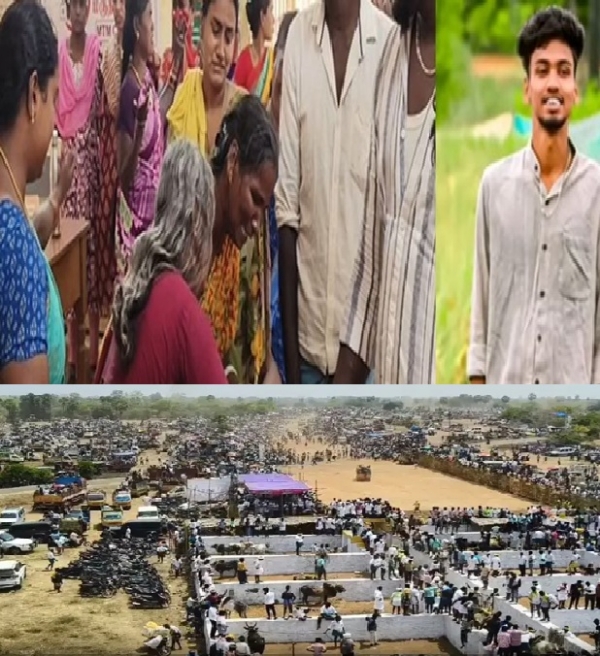 3 killed in bull attack