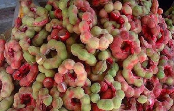 கொடிக்காய் சீசன் தொடக்கம் - கிலோ ரூ.350 வரை விற்பனை கொடிக்காய் சீசன் தொடக்கம் - கிலோ ரூ.350 வரை விற்பனை