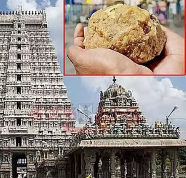 அருணாசலேஸ்வரர் திருக்கோவிலில் மீண்டும் பக்தர்களுக்கு இலவச லட்டு பிரசாதம்