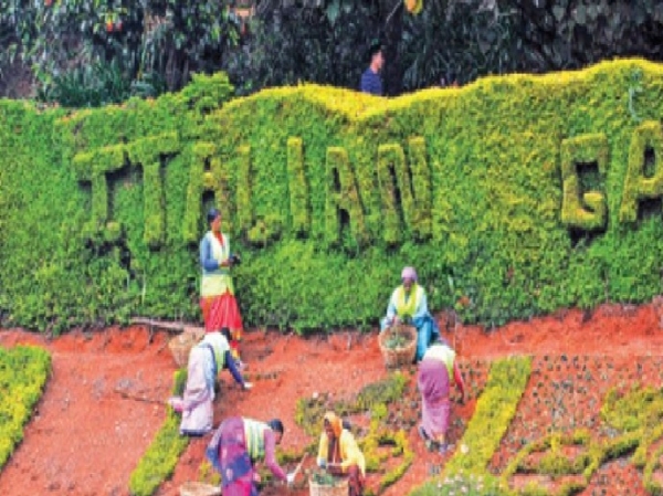 Ooty Botanical Garden