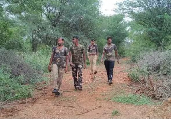 Forest Department Warning.