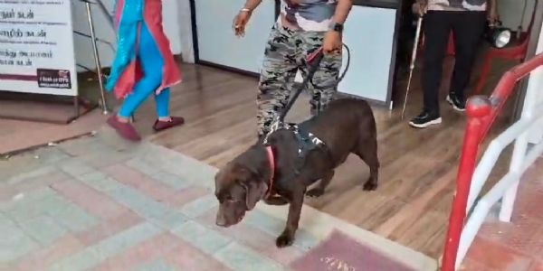 கடலூர் தலைமை தபால் நிலையத்திற்கு வெடிகுண்டு மிரட்டல் -மோப்ப நாய் உதவியுடன் போலீசார் சோதனை