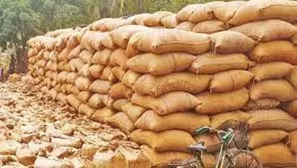 நெல் முட்டைகள்