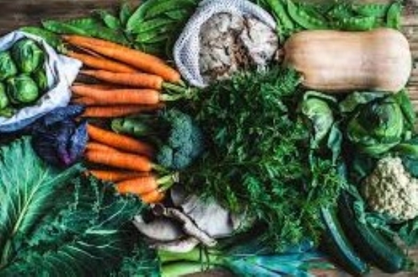 vegetable seeds and organic fertilizersfor making kitchen garden