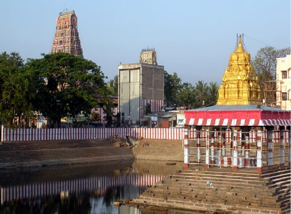 நாளை திருவான்மியூர் மருந்தீஸ்வரர் கோயிலில் பங்குனி தேரோட்டம் - முன்னேற்பாடுகள் தீவிரம்