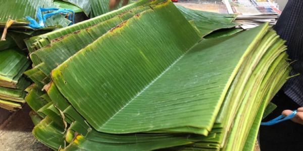 ஆண்டிப்பட்டியில் வாழை இலை விலை கடும் வீழ்ச்சி