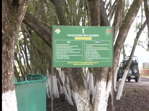 அசாம் தேர்தல்களுக்கு மத்தியில் பயணிகளின் முக்கிய ஓய்விடமாக மாறி கசிரங்கா தேசியப் பூங்கா