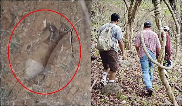 விபத்து