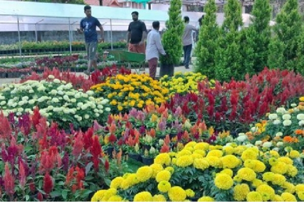 கோடை விடுமுறையை முன்னிட்டு தேக்கடியில் 18-வது மலர் கண்காட்சி