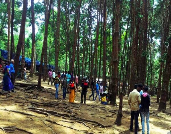 தேர்தல் நாளான ஏப்ரல் 23-ம் தேதி கொடைக்கானலில் சுற்றுலாத்தலங்கள் மூடப்படும் என வனத்துறை அறிவிப்பு