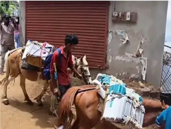 Horses transporting voting machines