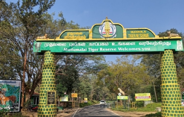 Mudumalai