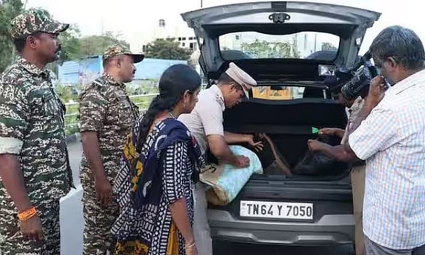 தேர்தல் விதி