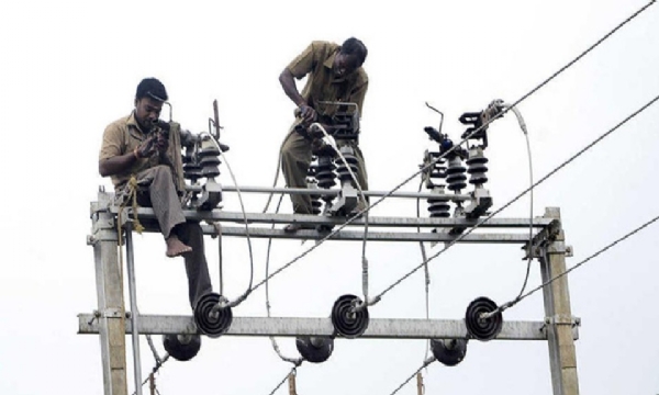 Temporary Staff Appointed