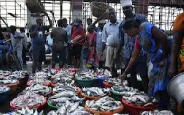 காசிமேடு