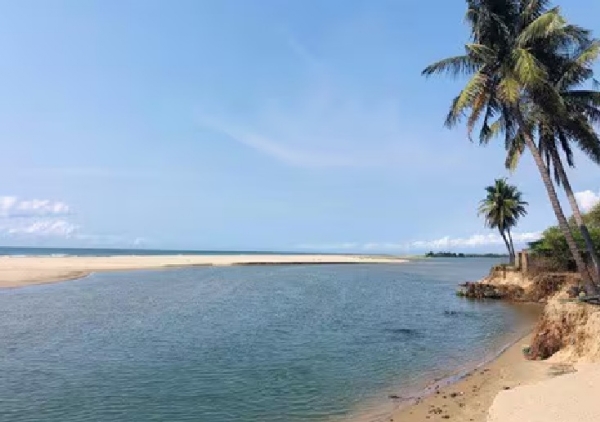 to prevent soil erosion