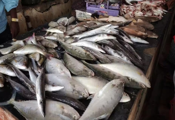 தூத்துக்குடியில் வரத்து குறைவால் மீன்கள் விலையேற்றம் -  மீன் வாங்க அலைமோதிய மக்கள் கூட்டம்