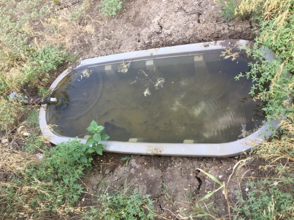 கோடை வெயிலில் வனவிலங்குகளின்  தாகம் தீர்க்க  தண்ணீர் தொட்டி