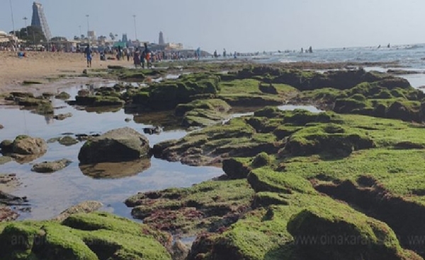 Sea Recedes at Tiruchendur