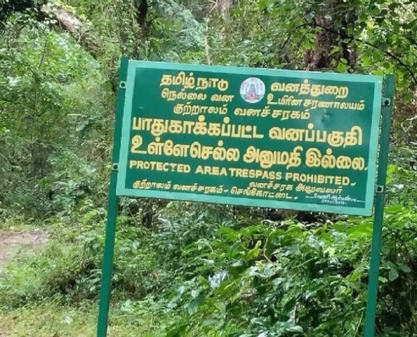 Tenkasi Forest