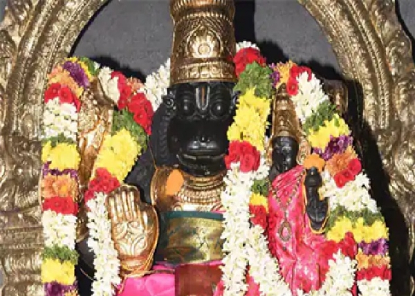 ஸ்ரீ வெங்கடேச பெருமாள் கோவிலில் நரசிம்மர் ஜெயந்தி விழா கோலாகலம்