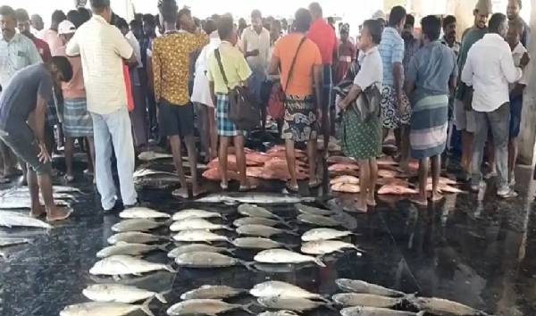 Thoothukudi to buy fish