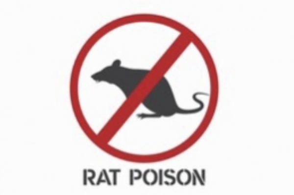 எலி மருந்து