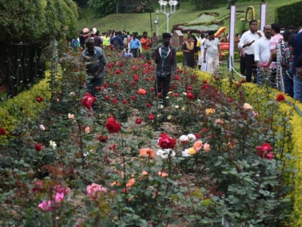 Rose Exhibition