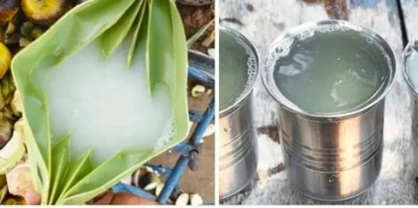 பா