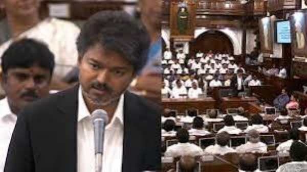 விஜய் விஜய்
