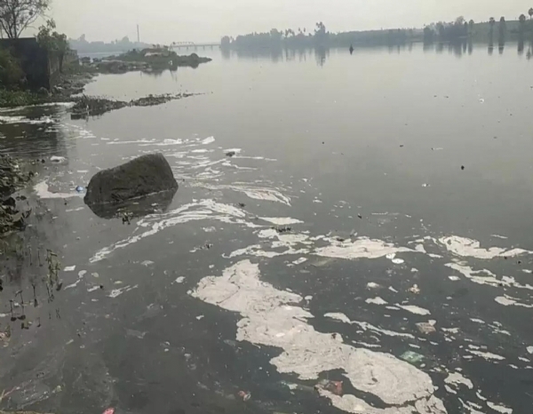 சாய கழிவுநீர்