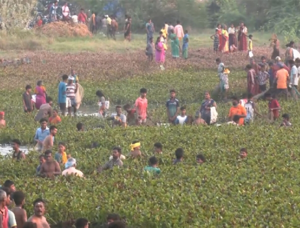 Traditional Fishing Festival Celebrated with Great Fanfare at Kallanthiri, Near Melur Traditional Fishing Festival Celebrated with Great Fanfare at Kallanthiri, Near Melur