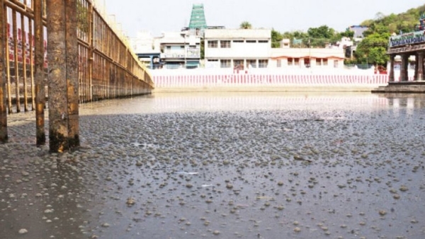 குளம் குளம்