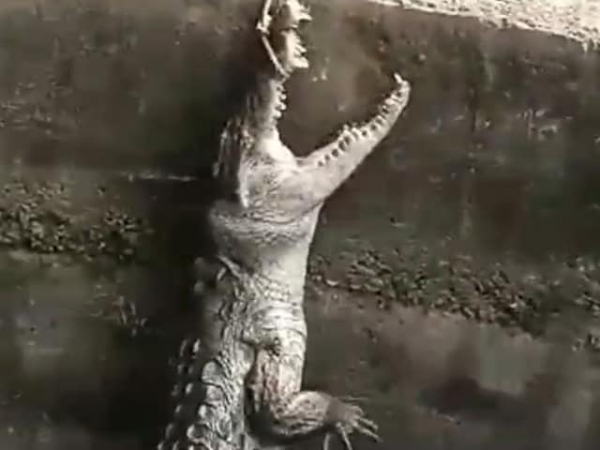 முதலை முதலை