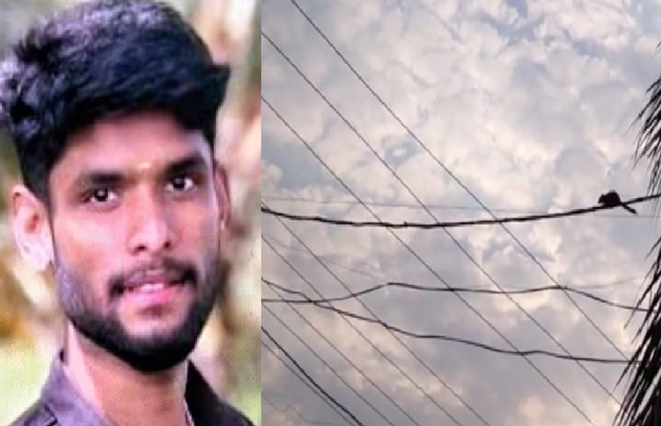 entangled in power lines. entangled in power lines.
