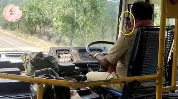 பேருந்து பேருந்து