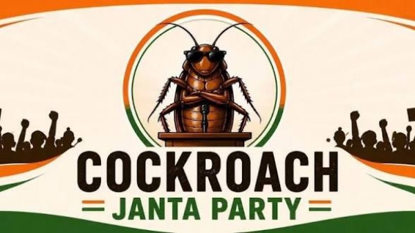 Cockroach Cockroach