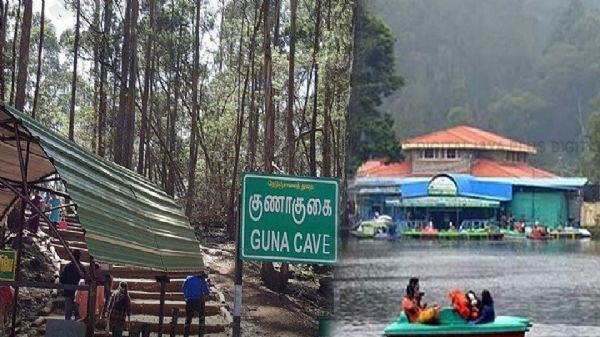 கொடைக்கானலில் வனத்துறை கட்டுப்பாட்டில் உள்ள சுற்றுலா தலங்களுக்கு மே 31 வரை இலவச அனுமதி