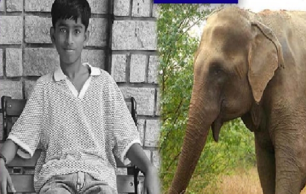கூடலூரில் யானை தாக்கி 12 வயது சிறுவன் பலி -  கிராம மக்கள் சாலை மறியல்  போராட்டம்