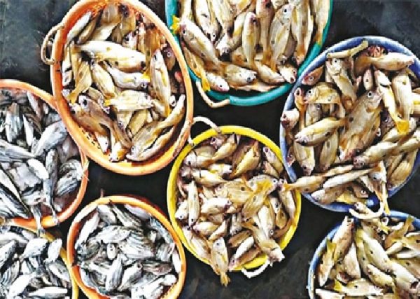 Fish prices soar due to reduced supply.