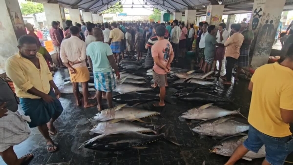 Fish Market