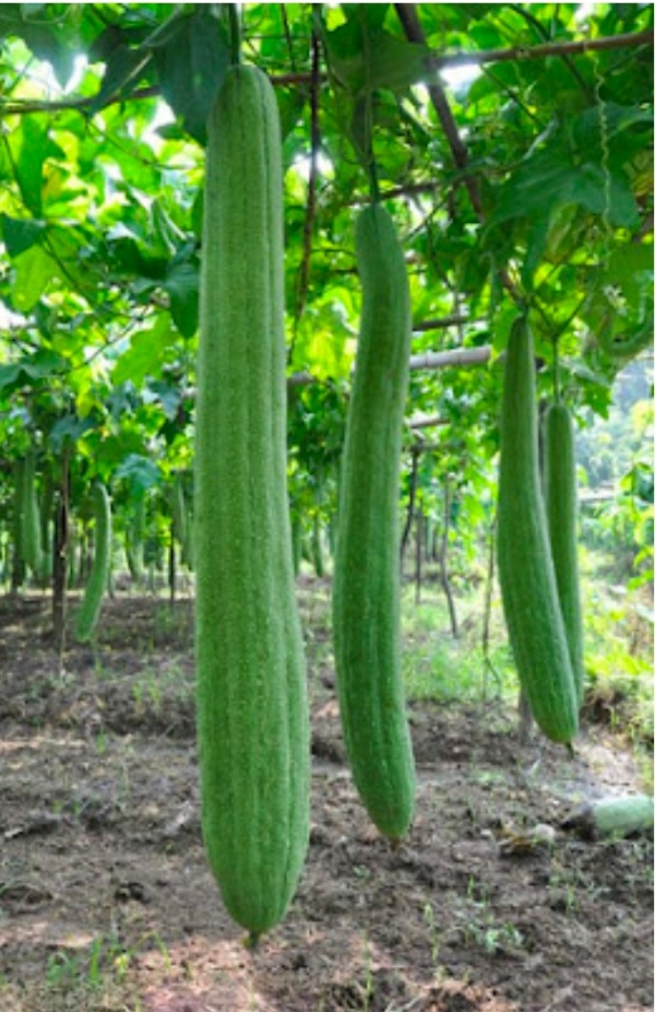 த த