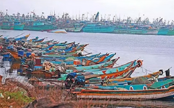 மீன்பிடித் தடைக்காலம் நாளையுடன் நிறைவு - 250-க்கும் மேற்பட்ட விசைப்படகுகளுடன் தூத்துக்குடி மீனவர்கள் தயார் மீன்பிடித் தடைக்காலம் நாளையுடன் நிறைவு - 250-க்கும் மேற்பட்ட விசைப்படகுகளுடன் தூத்துக்குடி மீனவர்கள் தயார்