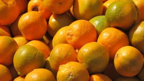 ஆரஞ்ச் ஆரஞ்ச்