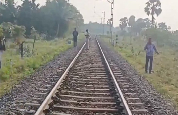 Over 70 sheep killed after being hit by a train
