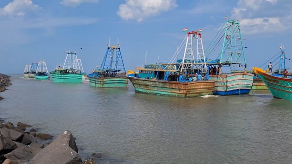 மீன்பிடித் துறைமுகம்