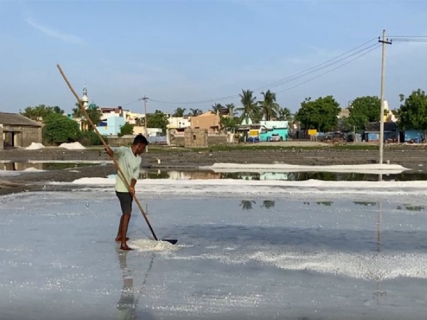 மழைக்கால நிவாரணத் தொகையை ரூ.10,000 ஆக உயர்த்த வேண்டும் - தூத்துக்குடி உப்பளத் தொழிலாளர்கள் கோரிக்கை மழைக்கால நிவாரணத் தொகையை ரூ.10,000 ஆக உயர்த்த வேண்டும் - தூத்துக்குடி உப்பளத் தொழிலாளர்கள் கோரிக்கை